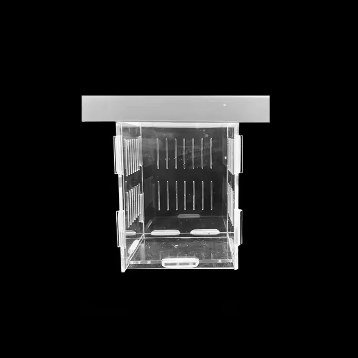 Caja de aislamiento de peces de acrílico, transparente, desmontable, flotante, para incubar pecera - 1