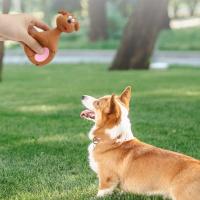 Juguete masticable interactivo para perros, resistente a las mordeduras, entretenimiento para cachorros, adecuado para perros pequeños y medianos - details 1