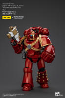JOYTOY Figura de Acción Horus Heresy Legión de Mil Hijos del Tacticante MK IV - details 9
