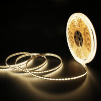 Tira de luces LED superbrillantes, cinta Flexible de píxeles, lámpara de retroiluminación de TV, 24V, 5M, 10M, SMD 2025, 280LED/M, 8MM de ancho - details 5