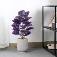 Flores Artificiales de Violeta Realistas Ideal para Decoración Interior y Exterior de Alta Gama - details 7