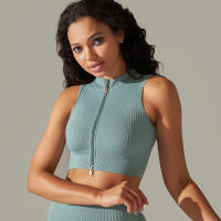Hamidou-Sujetador deportivo con cremallera para mujer, Top de Yoga, chaleco de sudor, chaqueta de entrenamiento para correr, chaquetas sin mangas para correr, Tops cortos elásticos ajustados - details 20