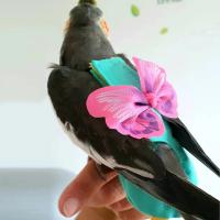 Traje de Vuelo para Pájaros con Forro Impermeable Prenda de Pañales para Pájaros Exóticos con Cuerda de Vuelo - details 1