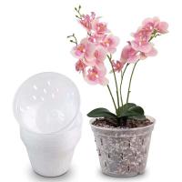 Maceta de orquídea transparente de plástico para interiores y exteriores Phalaenopsis - details 4
