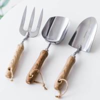 Juego De Herramientas De Jardinería 3 Piezas Mini Shovel Inoxidable Para Uso En El Jardín Y Floricultura Conjunto De Obreros De Jardín - details 3