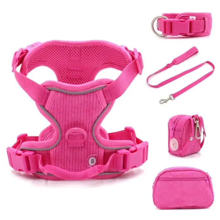 Collares personalizados mascotas Collar Rosa suave Perros con nombre, arnés reflectante sin TIAR Perros, Correa, juego de - 1
