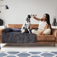 Perrera mullida Hug, Funda Protectora para Sofá, Talla XL, para Perros Medianos y Grandes - details 1