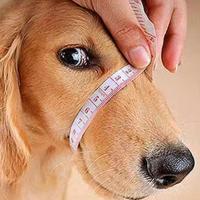 Bozales ajustables para perros, transpirables, previenen mordeduras y ladridos, cubierta bucal antiladridos, protector bucal suave y duradero para perros - details 9