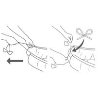 Instrucción