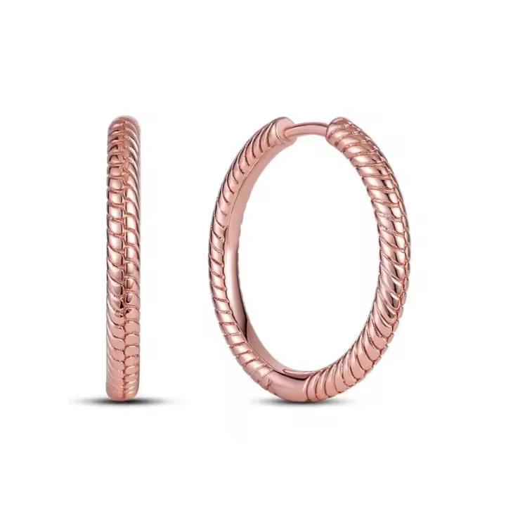 Pendientes redondos de circonio para mujer, colección de joyas geométricas, plata pura, oro rosa, accesorios de regalo - 1