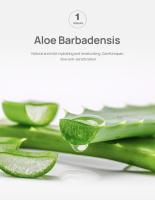 Té verde Original, elimina profundamente los puntos negros, mascarilla de barro para acné, palo, reduce los poros, disipa la crema para el acné, trata las espinillas, cuidado coreano de la piel limpia - details 13