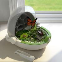 Caja de cría de gusano de seda con forma de cápsula espacial, estuche de plástico transparente con mango, caja de alimentación de reptiles - details 1