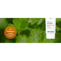no white cast  broad spectrum  non-greasy  korean sunscreen korean skincare