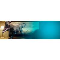 Smart TV LED HD televisor televisión 24 pulgadas  resolución imagen sonido memoria flash
