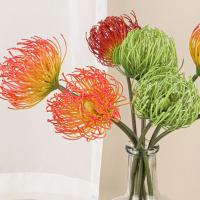 Flor de Leucospermum Artificial de tacto Real, elegante, hecha a mano, garra de cangrejo, crisantemos, alfiletero de plástico, rama de flor - details 10