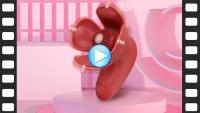 Leten-vibrador bucal para adultos, juguetes para mujeres, lamiendo la lengua, chupando, vibración, clítoris Anal, pezón, juguete sexual femenino 18+ - details 0