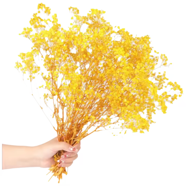 Ramas de Flores Secas Naturales 70g Ideal para Decoración de Boda, Fiesta, Jardín DIY - 1