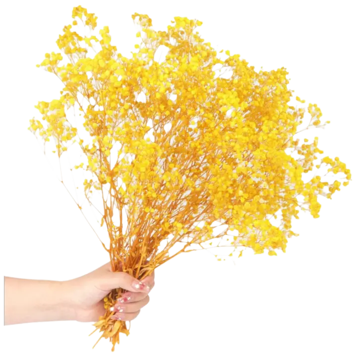 Ramas de Flores Secas Naturales 70g Ideal para Decoración de Boda, Fiesta, Jardín DIY - 1