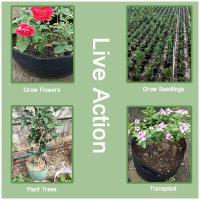 Nuevas bolsas no tejidas para plantar y trasplantar árboles de plántulas de flores, ETA hortícola - details 3