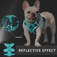 Conjunto de Arneses y Correa para Perros sin Tirones Chaleco Ajustable con Arneses para Mascotas Pequeñas y Medianas, Correa para el Pecho de Malla Reflectante - details 2