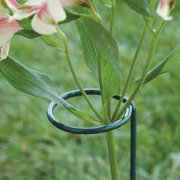 Soporte de anillo de soporte de pila de patio trasero de vástago único para el hogar largo, Estaca de soporte de plantas, herramienta de jardín - details 5