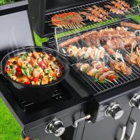 Parrilla de Gas de Alta Rendimiento de 4+1 Quemadores Master con Estufa Lateral - details 4