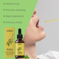Suplementos dietéticos de gotas limpiadoras de pulmón de hoja de Verbasco para tratamiento corporal - details 5