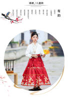 Falda con cara de caballo para niña, conjunto Hanfu, nuevo estilo Ming Tang de primavera para niños grandes, disfraz antiguo de estilo chino - details 1