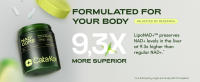 spermidine supplements nad plus supplement 1000mg pure organic resveratrol gummies akg supplement