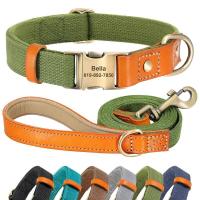 Conjunto correa perro personalizado, Collar identificación mascota cuero nailon, collares hebilla antipérdida con cuerda de - details 2