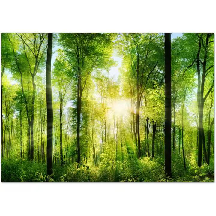 Papel Tapiz de Vinilo Moderno de Bosque de Jungla Personalizado de Shinehome - 1