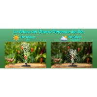 fuente solar jardin exterior