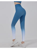 Pantalones de fitness graduales, cintura alta de cadera, ejercicio abdominal para correr, delgados y elásticos, pantalones de yoga para usar - details 0