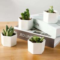 Bonsái blanco geométrico cerámica cuadrado pequeño y jugoso cactus moderno ETA, bandeja de bambú - details 7