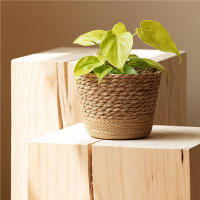 Cesta de maceta tejida Natural, maceta multifuncional para jardín, sala de estar, dormitorio, balcón - details 7