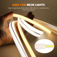 Tira de luces LED COB regulable para exteriores, cinta de 288leds/M con enchufe europeo de 220V, RA90, de alto brillo, para iluminación de jardín, dormitorio y cocina - details 2