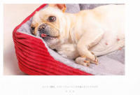 Cama para perro para todas las estaciones, Ideal para perros y gatos pequeños, medianos y grandes, el favorito de Teddy - details 12