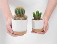 Plástico blanco uso interior, mini macetero floral con agujeros de drenaje jugoso o cactus, para plantas, ETA - details 7
