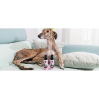 Petuxe Champú Vegano para Mascotas sin Sal Mandarina. para Manos irritadas. Perros y Gatos. Todas las razas. Uso Profesional Peluquero canino - 5000 ml - details 9