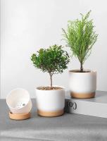Plástico blanco uso interior, mini macetero floral con agujeros de drenaje jugoso o cactus, para plantas, ETA - details 5