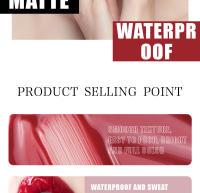 Brillo Labial Mate Duradero Color Fácil Hidratante Sin Pegajos Impermeable - details 5