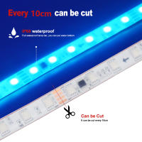 GAHADA Tira LED WS2811 Impermeable IP68 24V 60LEDs/m Controlador Bluetooth WiFi Kit de Potencia - details 5
