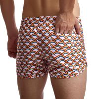 Pantalones cortos de playa de verano para hombre, tabla de natación, traje de baño corto Gailang, ropa a juego, pantalones de surf, trajes de baño Sunga Masculina, pantalones cortos para el hogar - details 14