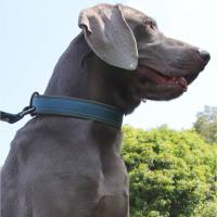 Collar de perro reflectante con correas elásticas, Collar ajustable sin tirones para mascotas para perros medianos y grandes, hebilla de liberación rápida resistente - details 4
