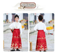 Falda con cara de caballo para niña, conjunto Hanfu, nuevo estilo Ming Tang de primavera para niños grandes, disfraz antiguo de estilo chino - details 6