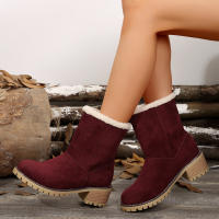 Botas de nieve de gamuza con tacón grueso para otoño e invierno, zapatos de algodón con manga de ocio, Color sólido, novedad de 2024 - details 3