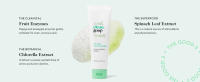 facial cleanser for women with fruit enzymes, chlorella extract and spinach leaf extract
