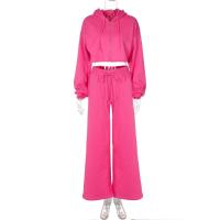 Conjunto de pantalones informales de dos piezas para mujer, Mini sudadera de manga larga Y2K, cárdigans, sudaderas con capucha, Tops + pantalón, chándales, moda de invierno - details 1
