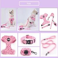 Conjunto arnés perro, chaleco malla ustable cachorro, Collar correa de plomo para caminar, perros pequeños, gatos y gatitos - details 4