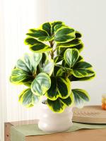 Pequeña Planta Hoya Artificial en Forma de Corazón Falsas Piñas Jugosas - details 6